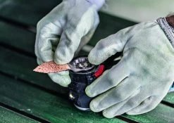 Bosch 2608900040 EXPERT Starlock Carbide Schuurvinger Multimaterial AVZ32RT4 -Tool Verkoop bfb6724cf3dd48d71b8b563e6631421c